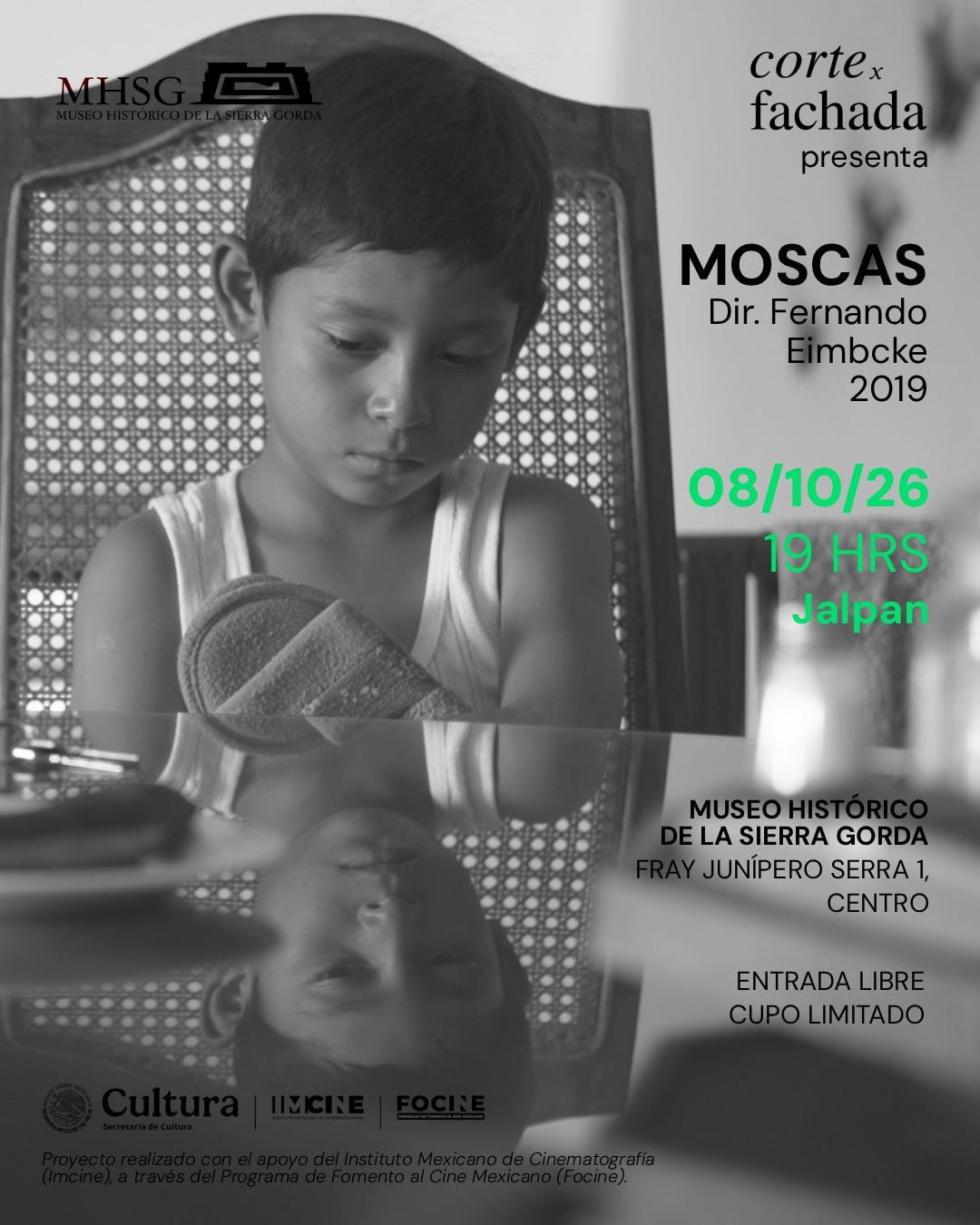 Moscas