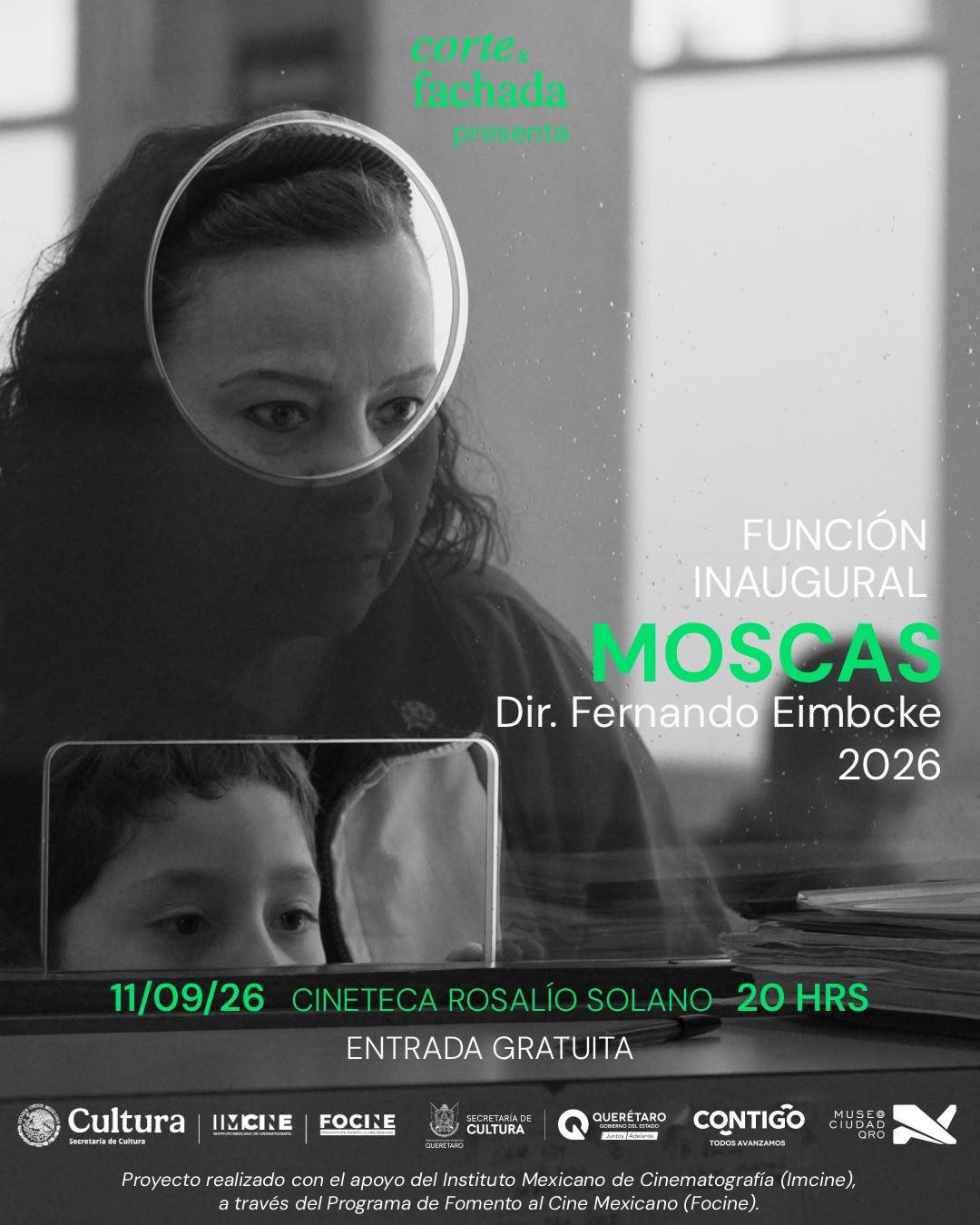 Moscas